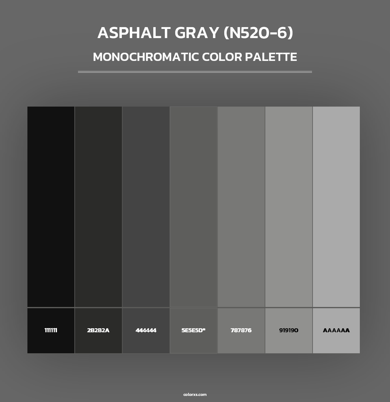 Asphalt Gray (N520-6) - Monochromatic Color Palette