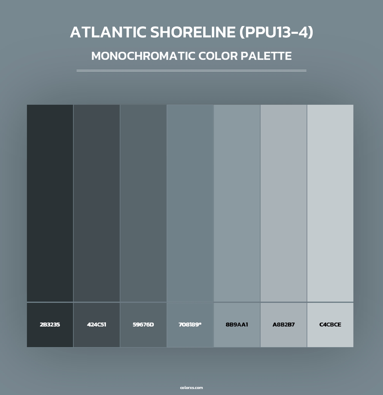 Atlantic Shoreline (PPU13-4) - Monochromatic Color Palette