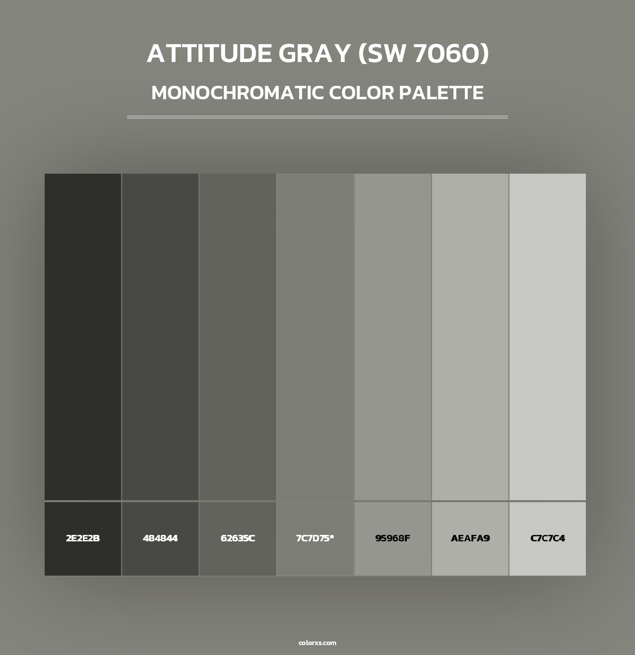 Attitude Gray (SW 7060) - Monochromatic Color Palette