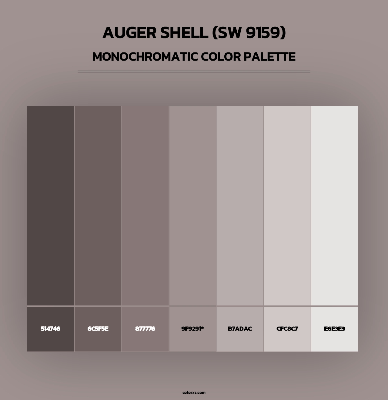 Auger Shell (SW 9159) - Monochromatic Color Palette