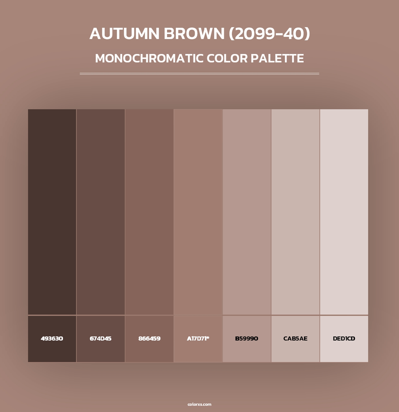 Autumn Brown (2099-40) - Monochromatic Color Palette