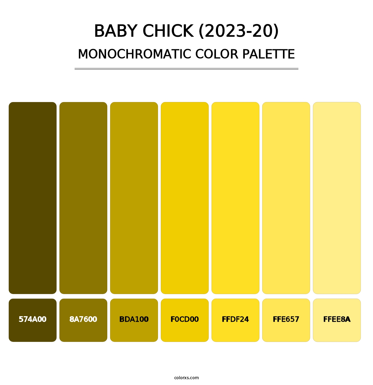 Baby Chick (2023-20) - Monochromatic Color Palette