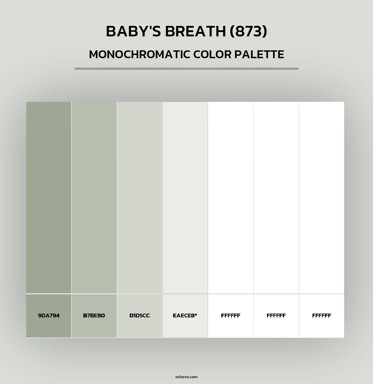 Baby's Breath (873) - Monochromatic Color Palette