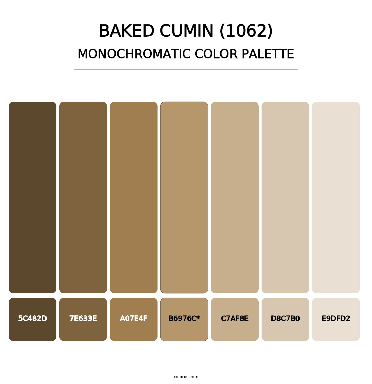 Baked Cumin (1062) - Monochromatic Color Palette