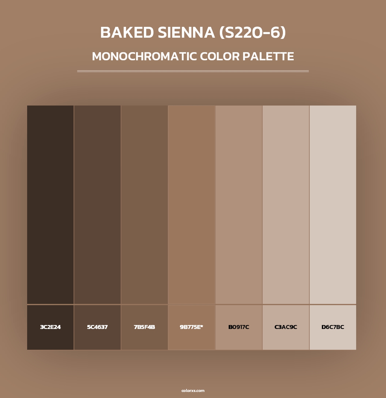 Baked Sienna (S220-6) - Monochromatic Color Palette
