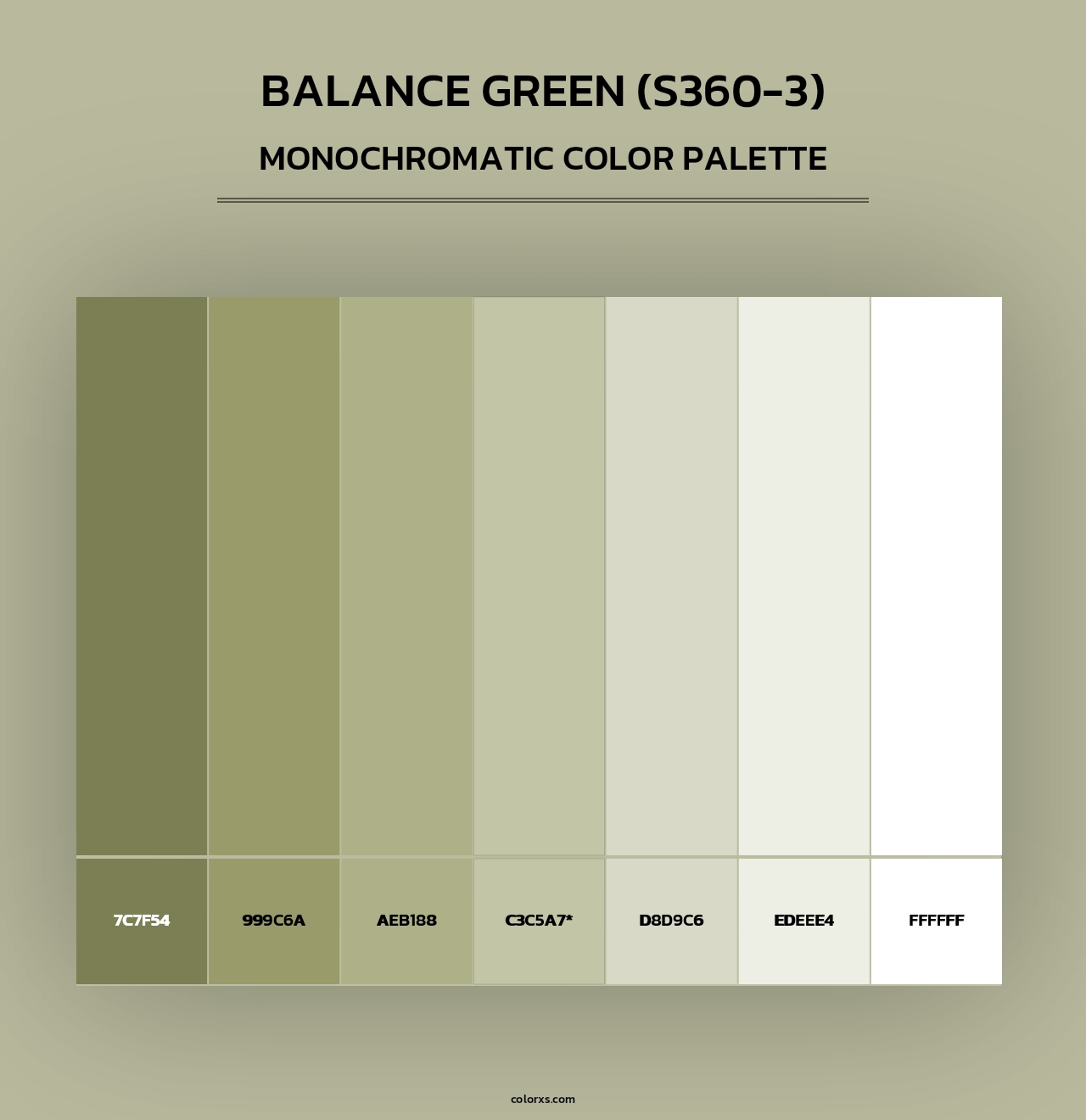 Balance Green (S360-3) - Monochromatic Color Palette