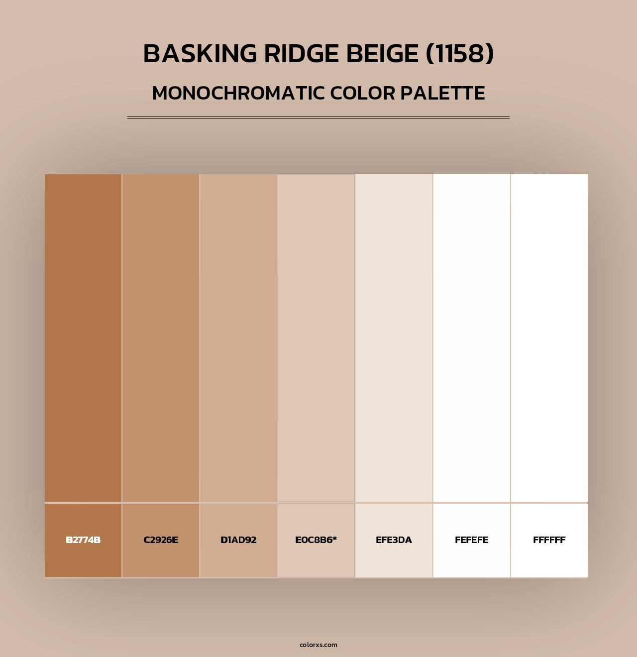 Basking Ridge Beige (1158) - Monochromatic Color Palette