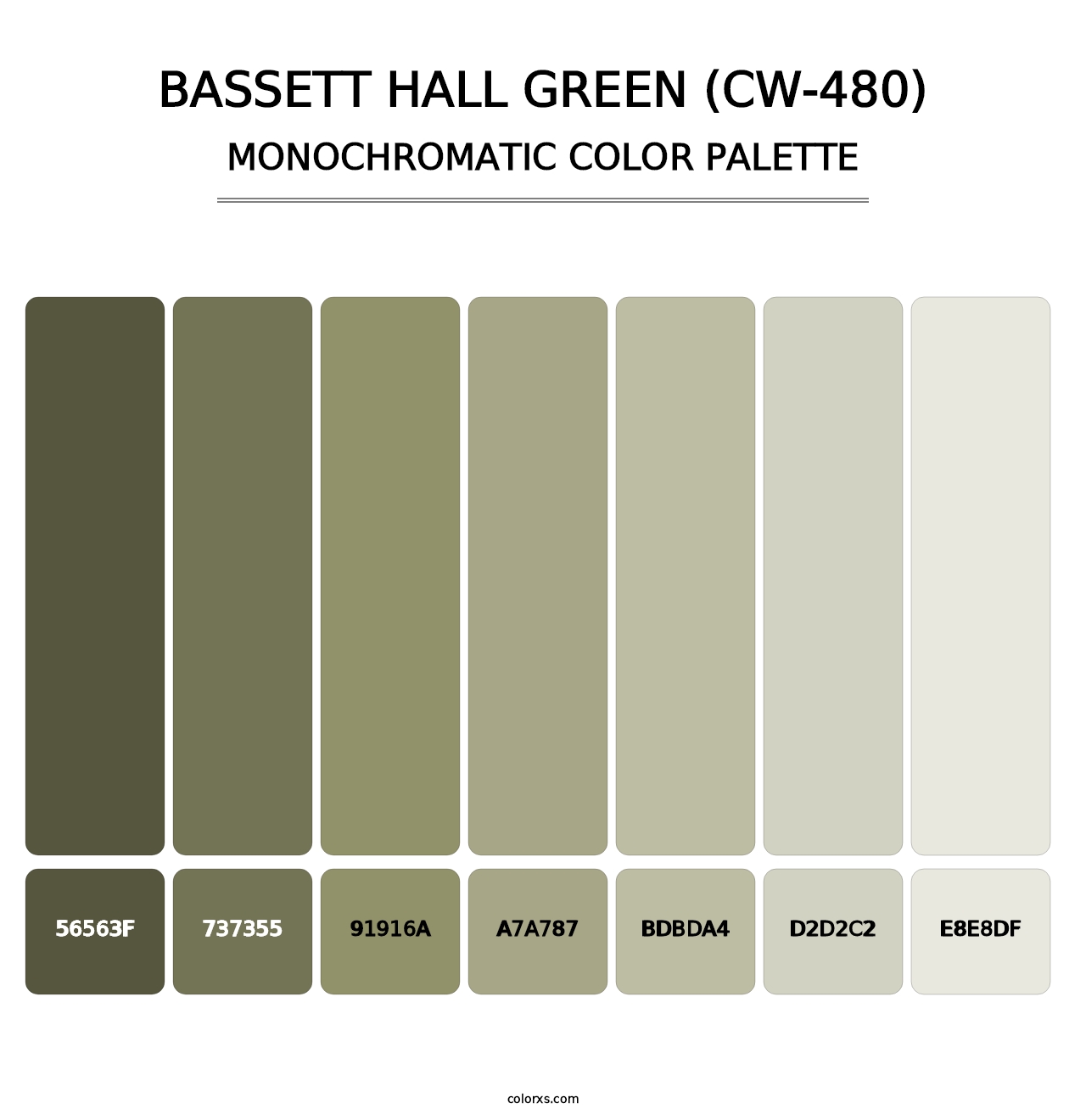 Bassett Hall Green (CW-480) - Monochromatic Color Palette