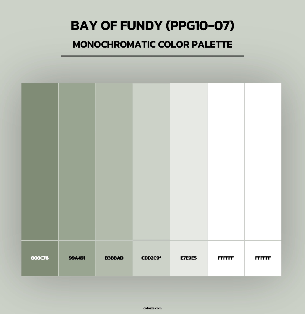Bay Of Fundy (PPG10-07) - Monochromatic Color Palette