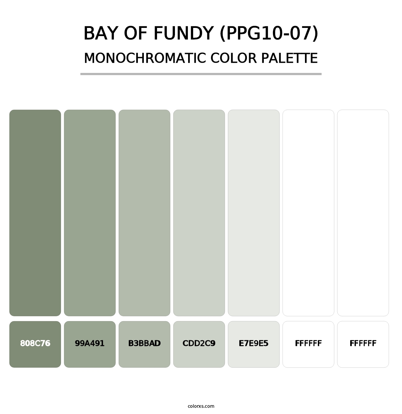 Bay Of Fundy (PPG10-07) - Monochromatic Color Palette