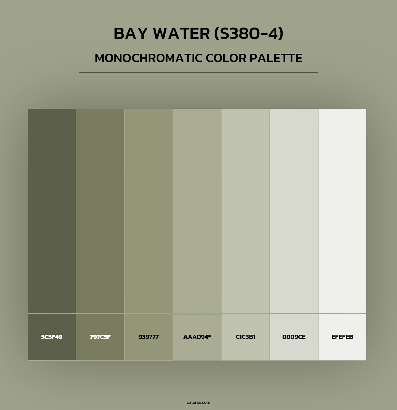 Bay Water (S380-4) - Monochromatic Color Palette