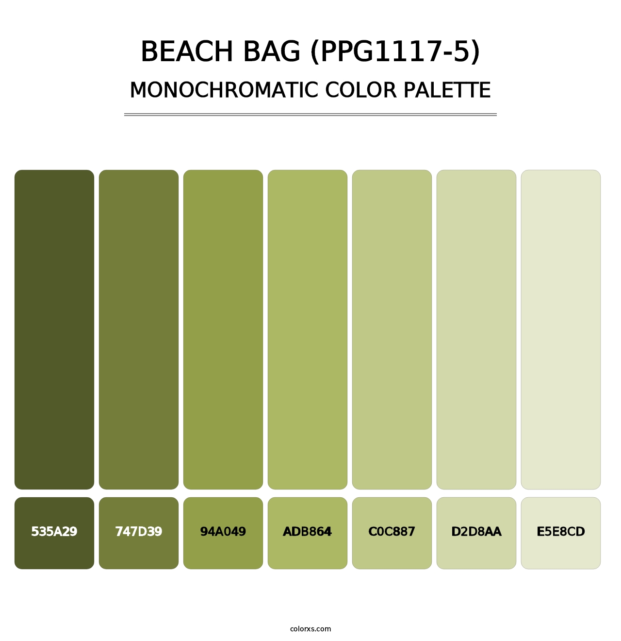 Beach Bag (PPG1117-5) - Monochromatic Color Palette