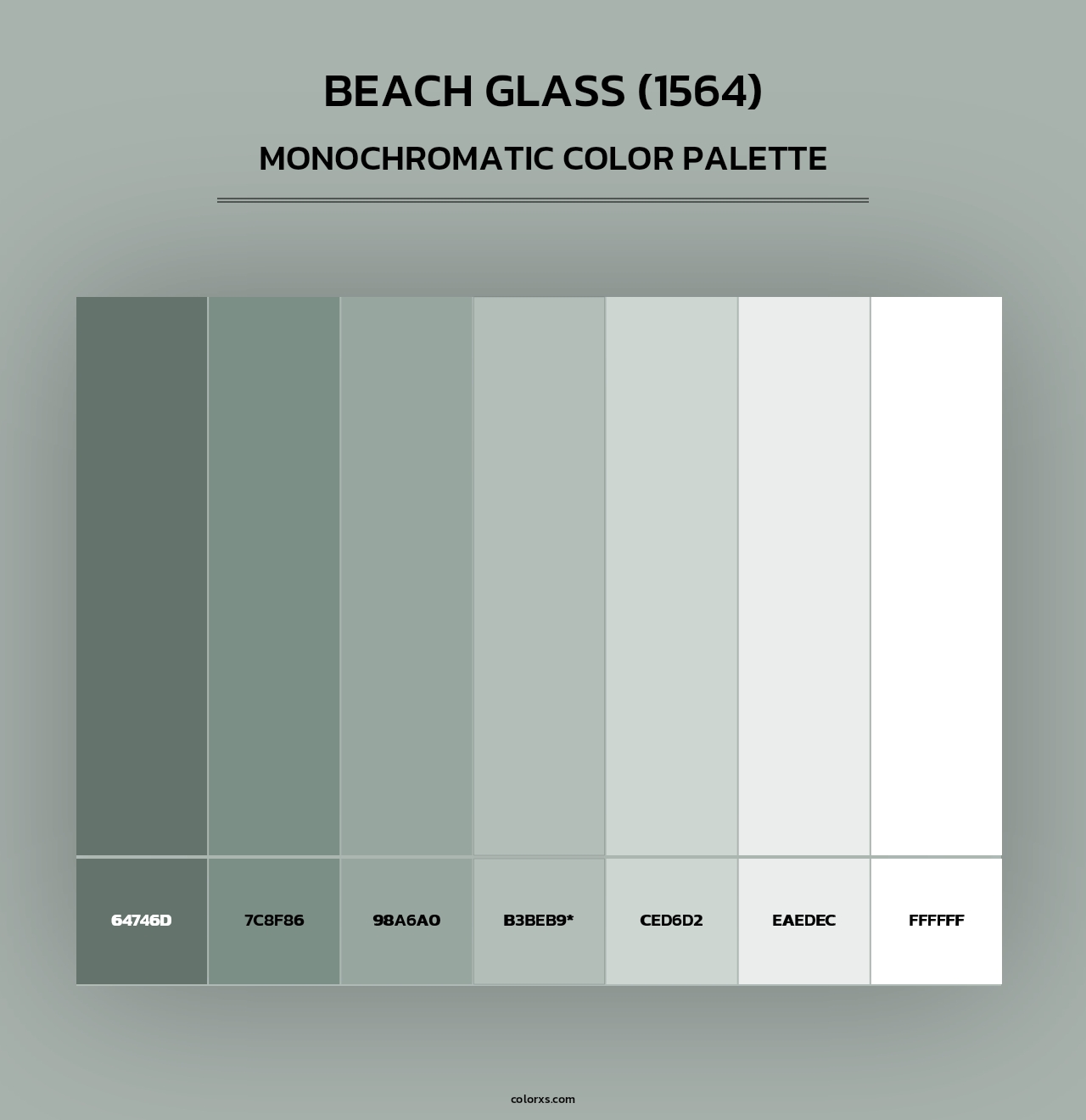 Beach Glass (1564) - Monochromatic Color Palette