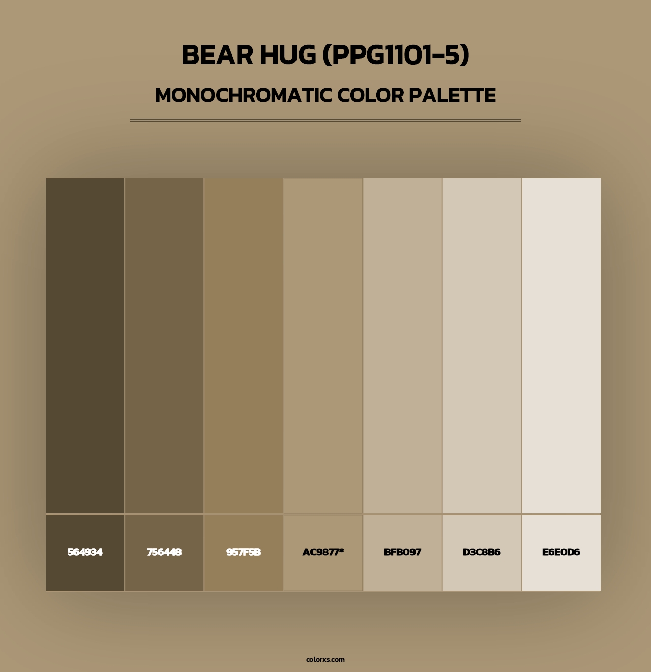 Bear Hug (PPG1101-5) - Monochromatic Color Palette