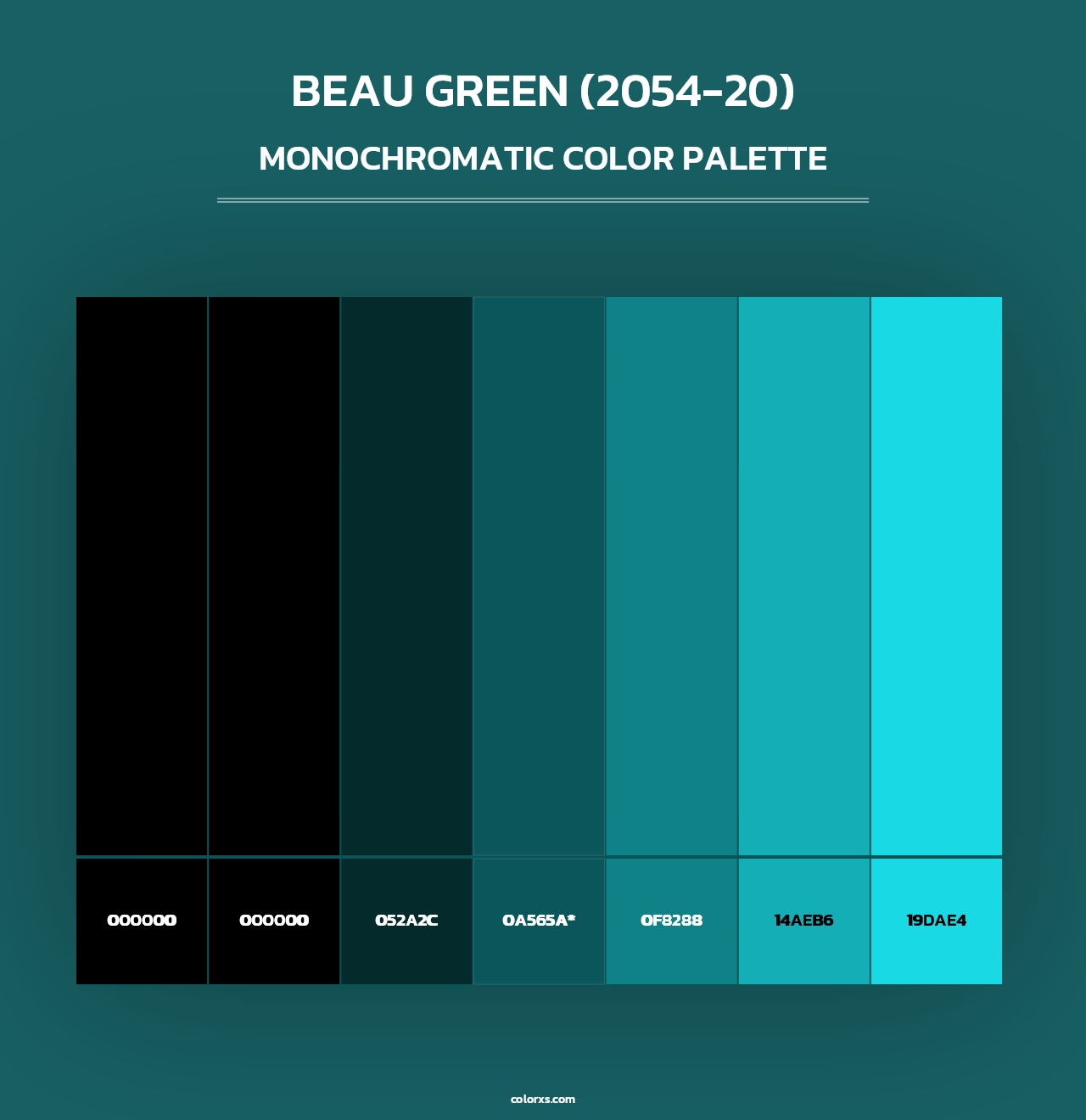 Beau Green (2054-20) - Monochromatic Color Palette