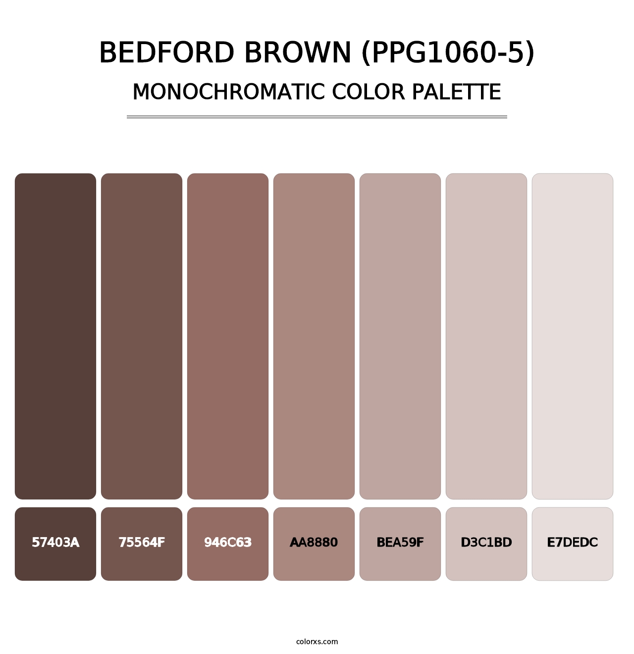 Bedford Brown (PPG1060-5) - Monochromatic Color Palette