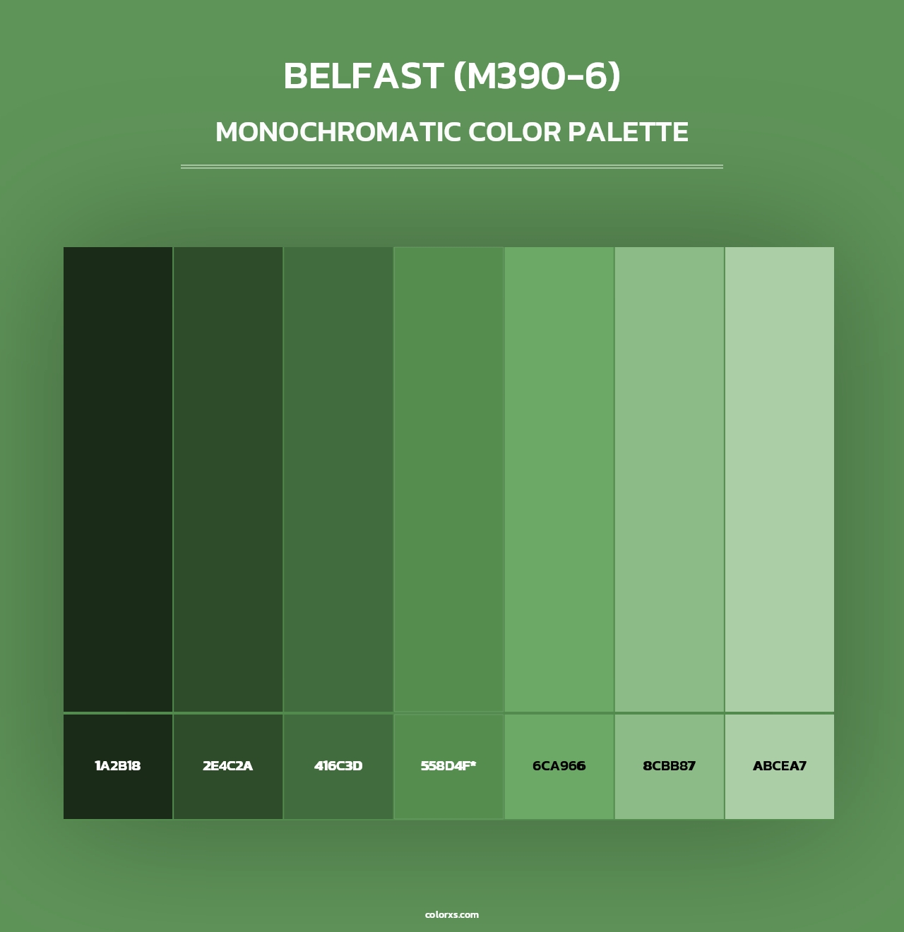 Belfast (M390-6) - Monochromatic Color Palette