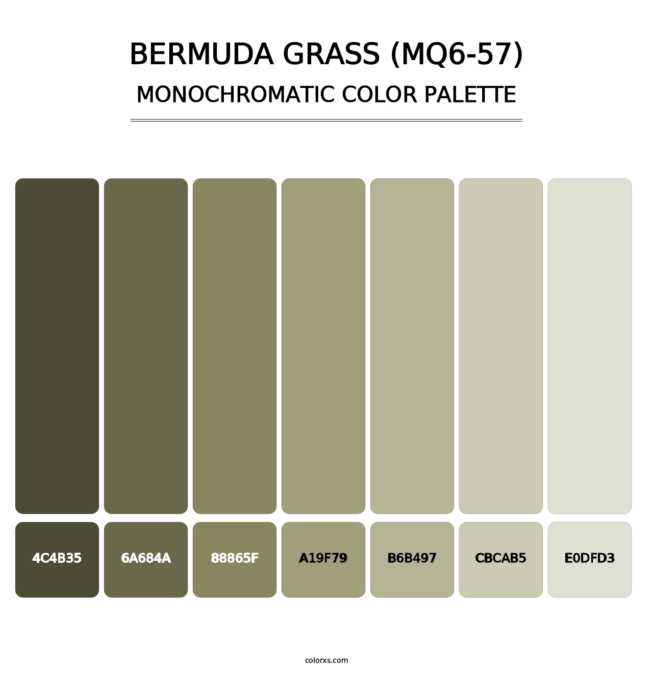Bermuda Grass (MQ6-57) - Monochromatic Color Palette