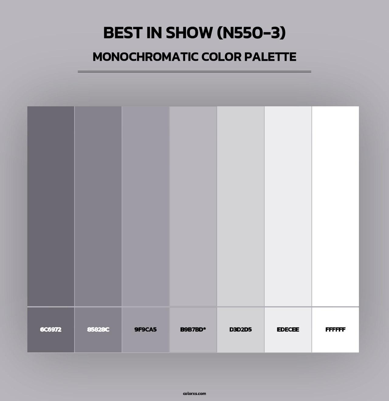 Best In Show (N550-3) - Monochromatic Color Palette