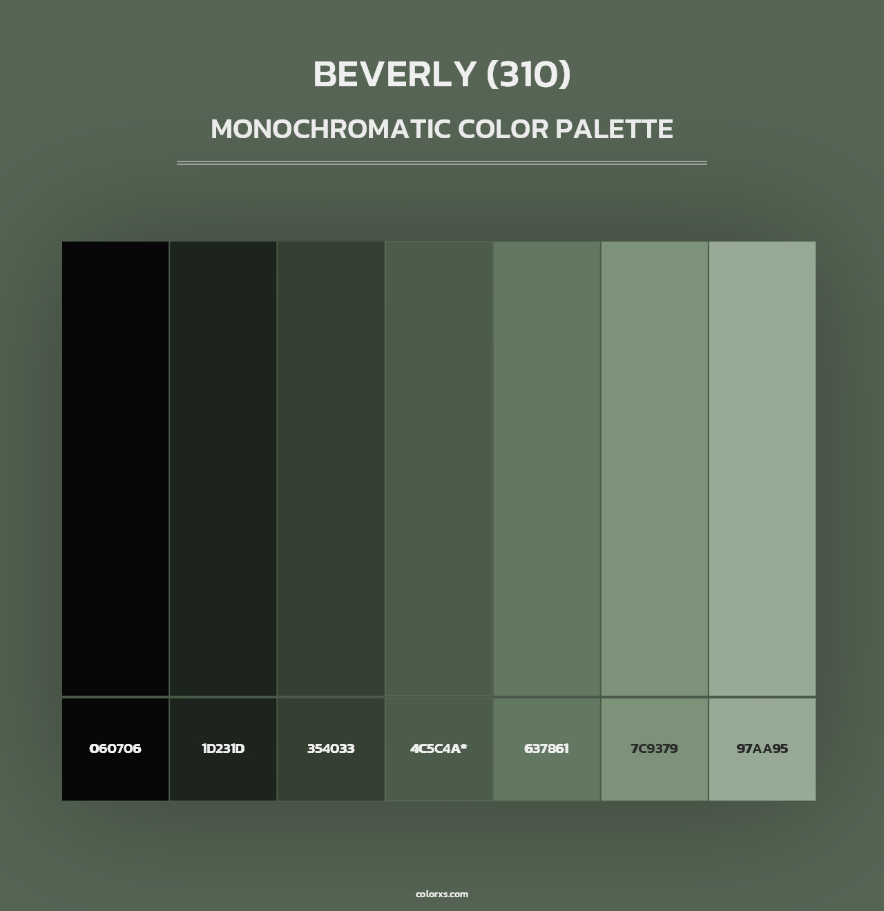 Beverly (310) - Monochromatic Color Palette