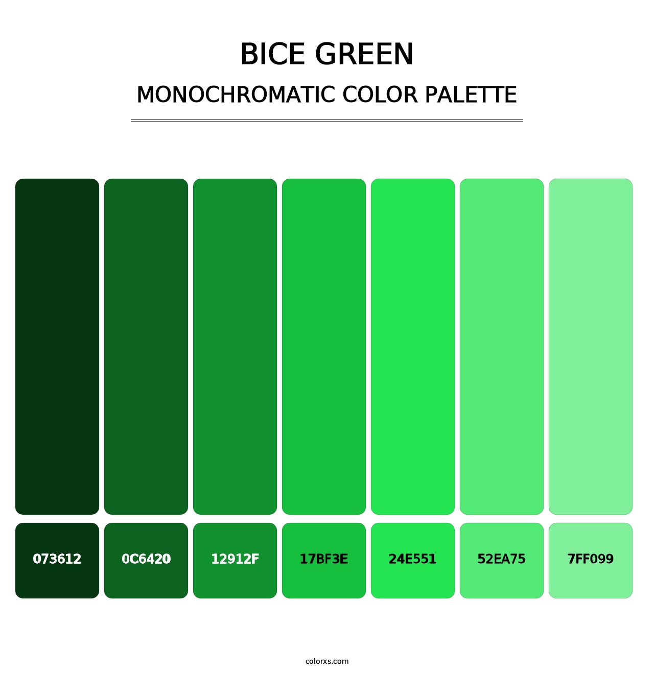 Bice Green - Monochromatic Color Palette