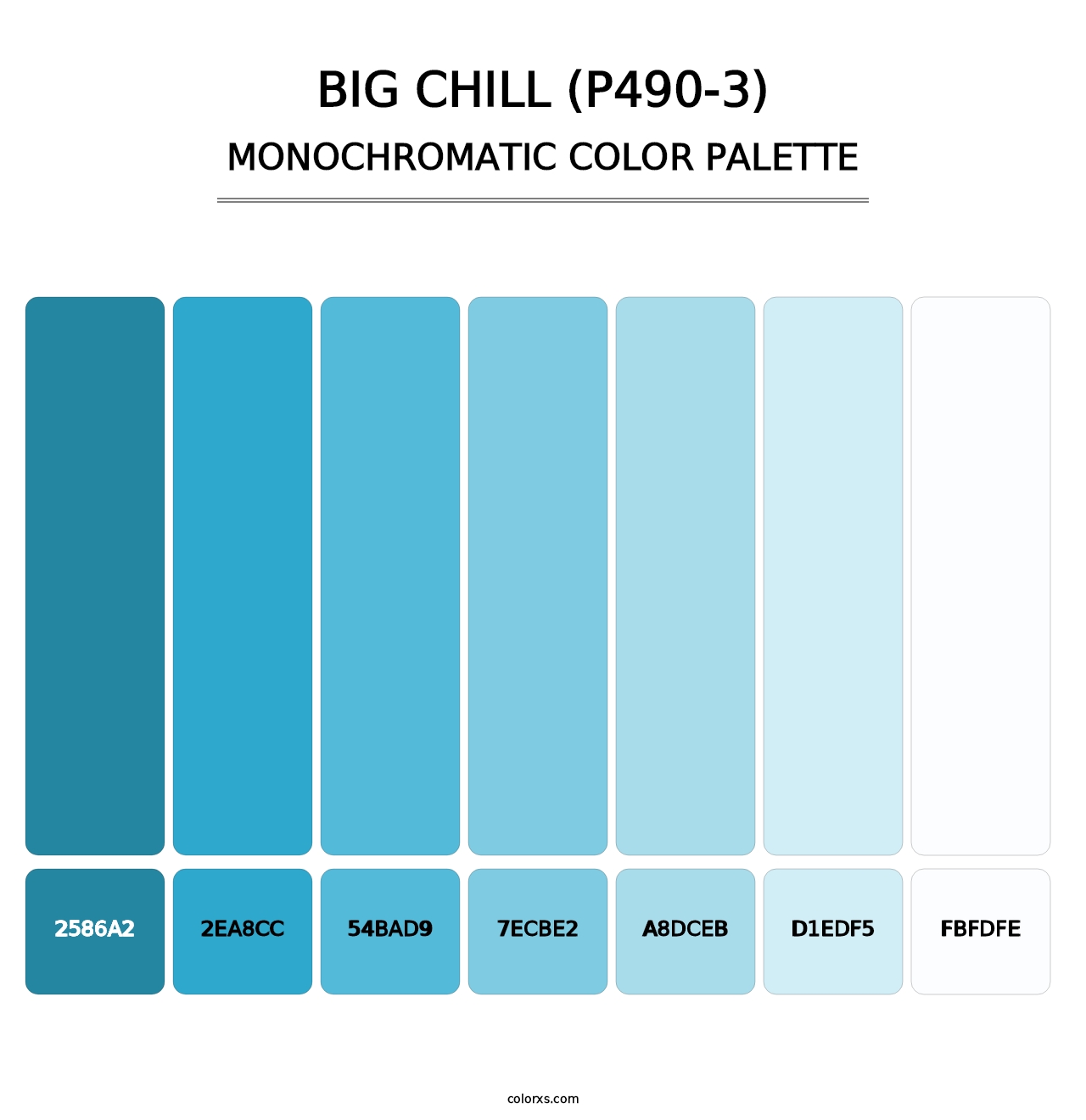 Big Chill (P490-3) - Monochromatic Color Palette
