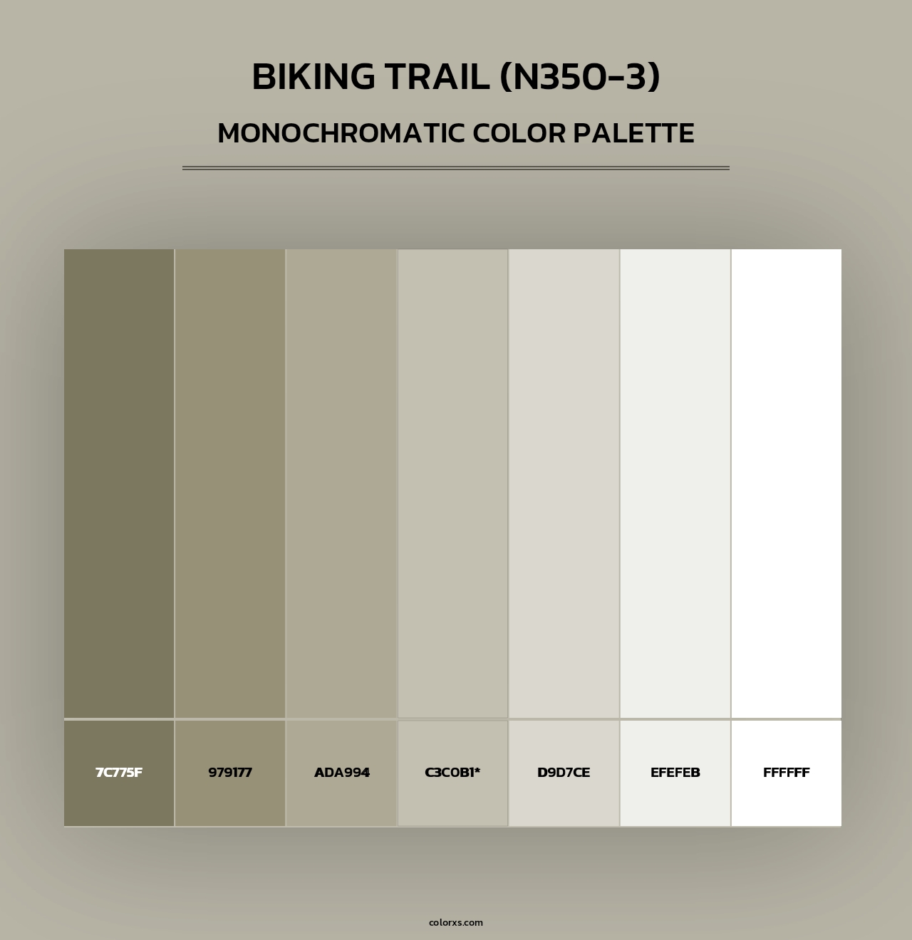Biking Trail (N350-3) - Monochromatic Color Palette