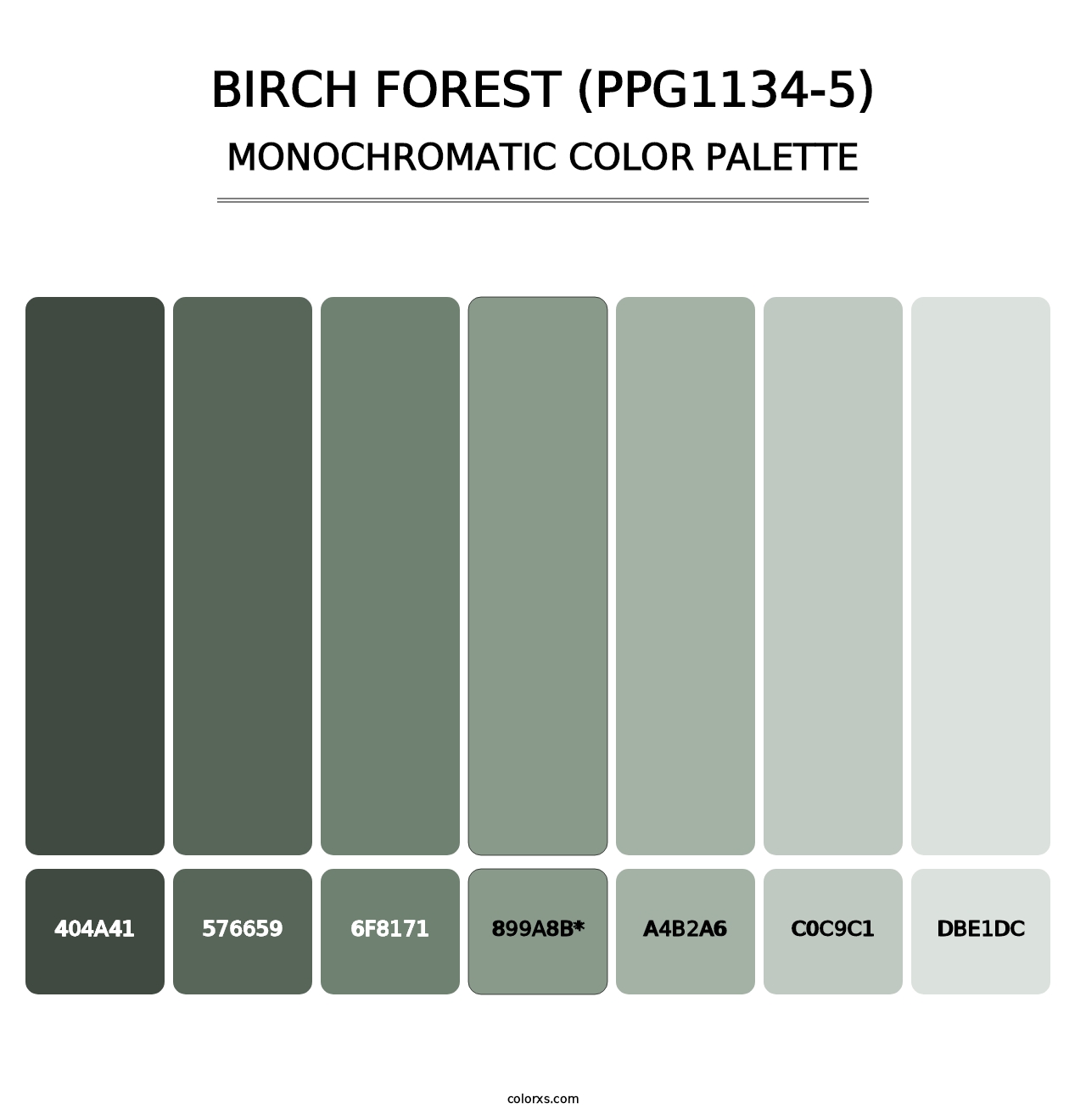 Birch Forest (PPG1134-5) - Monochromatic Color Palette