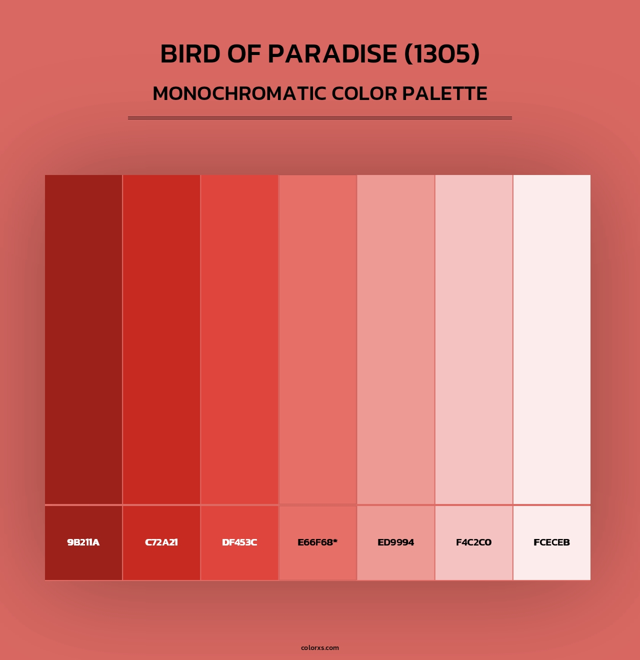 Bird of Paradise (1305) - Monochromatic Color Palette