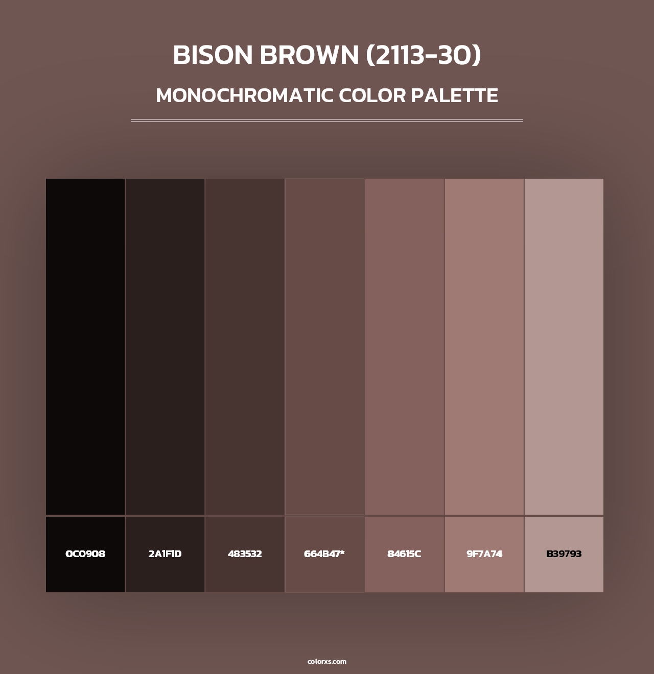 Bison Brown (2113-30) - Monochromatic Color Palette