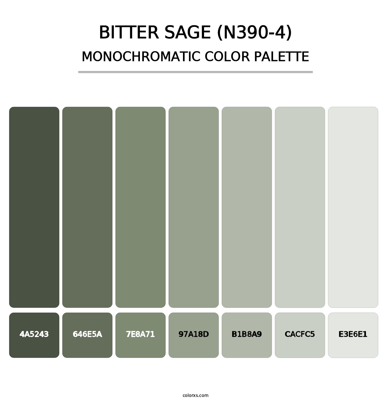 Bitter Sage (N390-4) - Monochromatic Color Palette