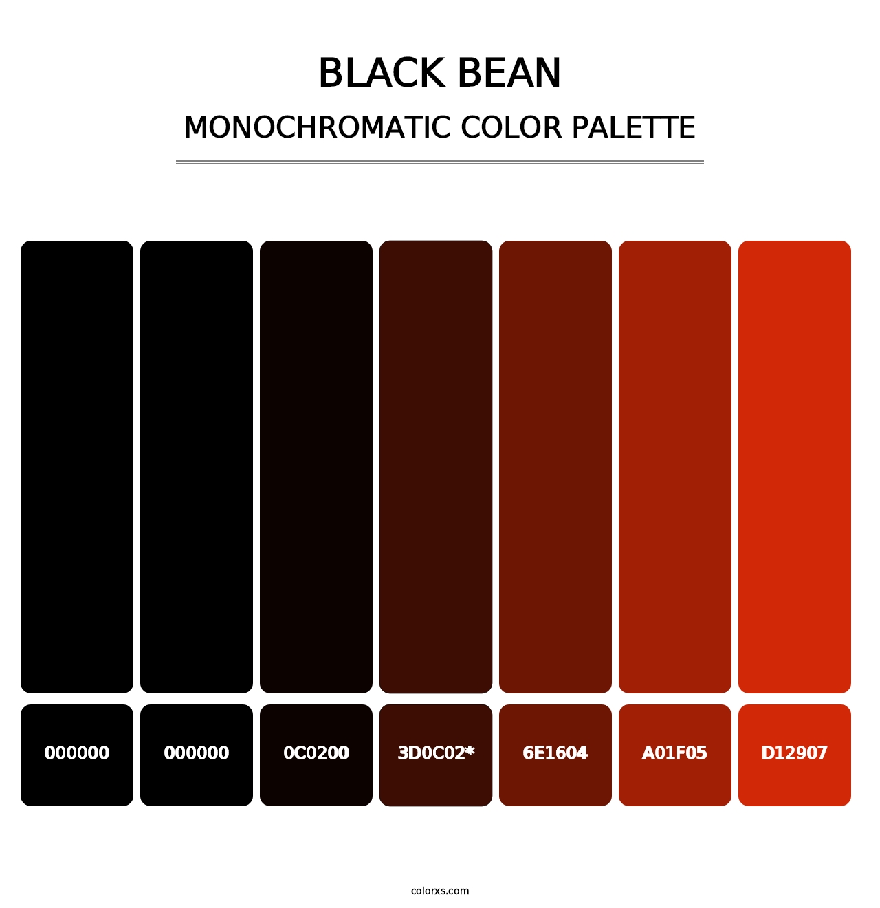 Black Bean - Monochromatic Color Palette
