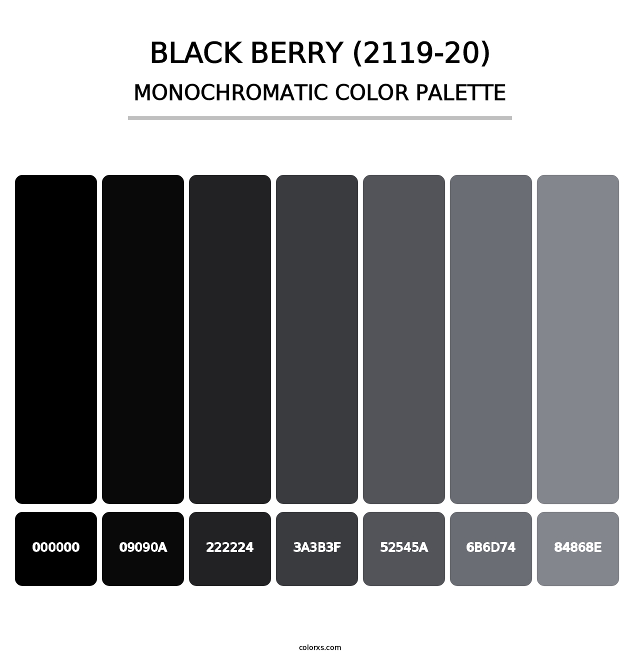 Black Berry (2119-20) - Monochromatic Color Palette