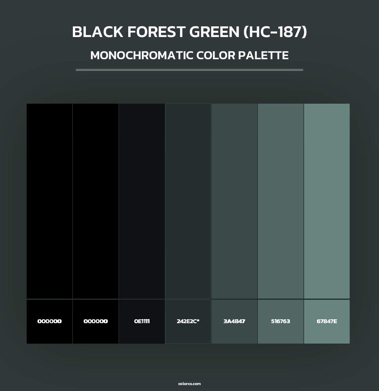 Black Forest Green (HC-187) - Monochromatic Color Palette