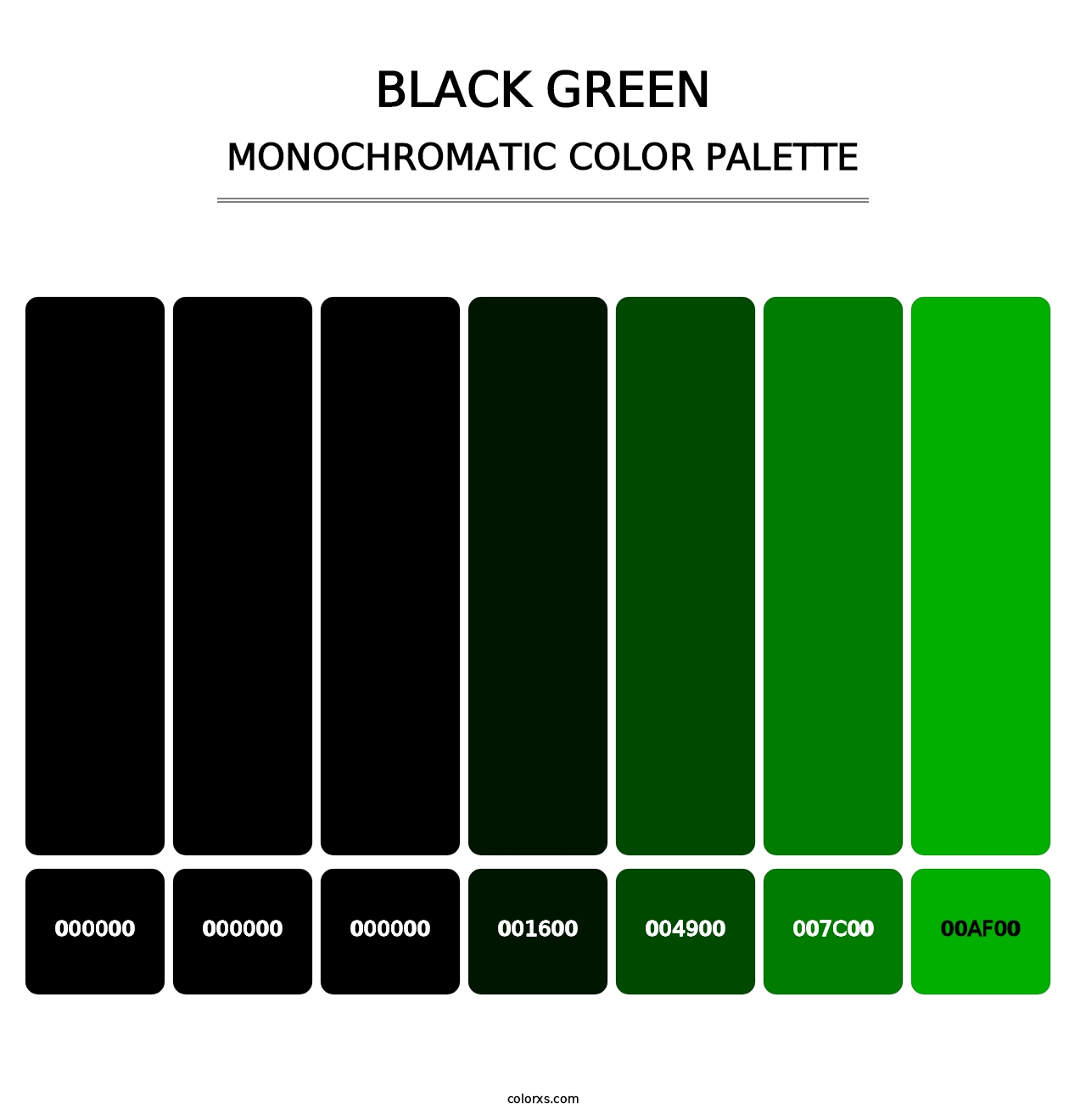 Black Green - Monochromatic Color Palette