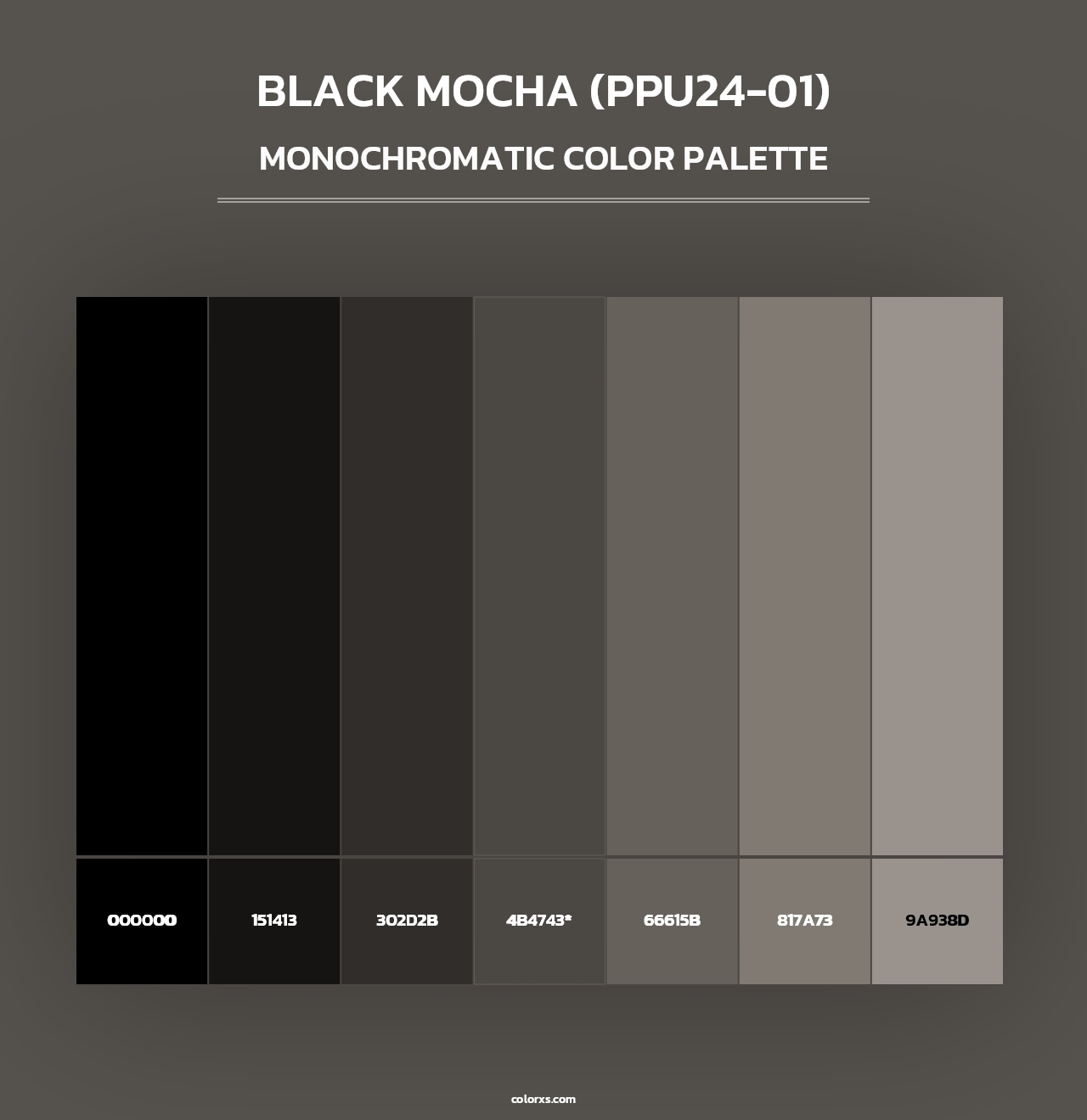 Black Mocha (PPU24-01) - Monochromatic Color Palette