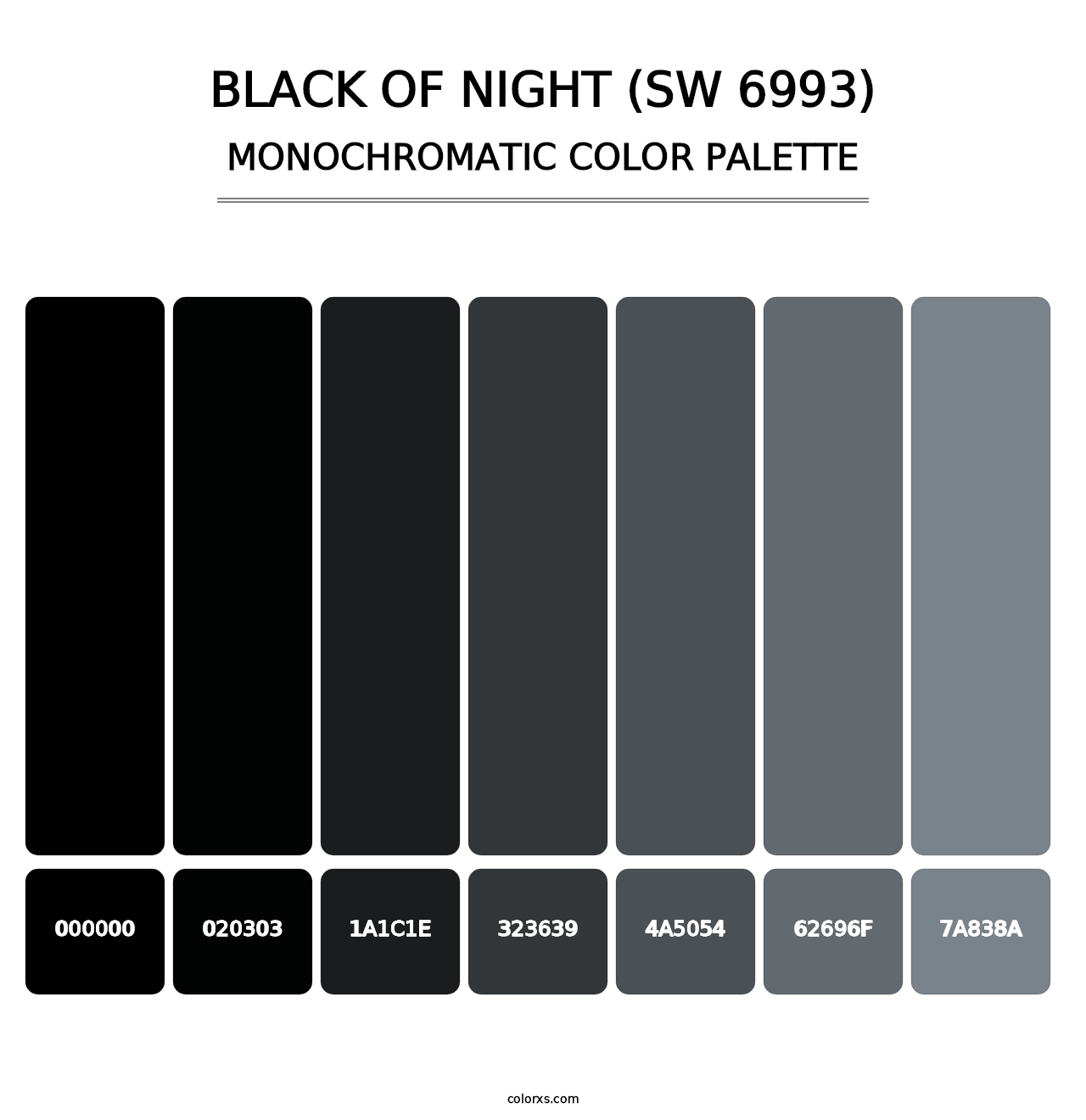 Black of Night (SW 6993) - Monochromatic Color Palette