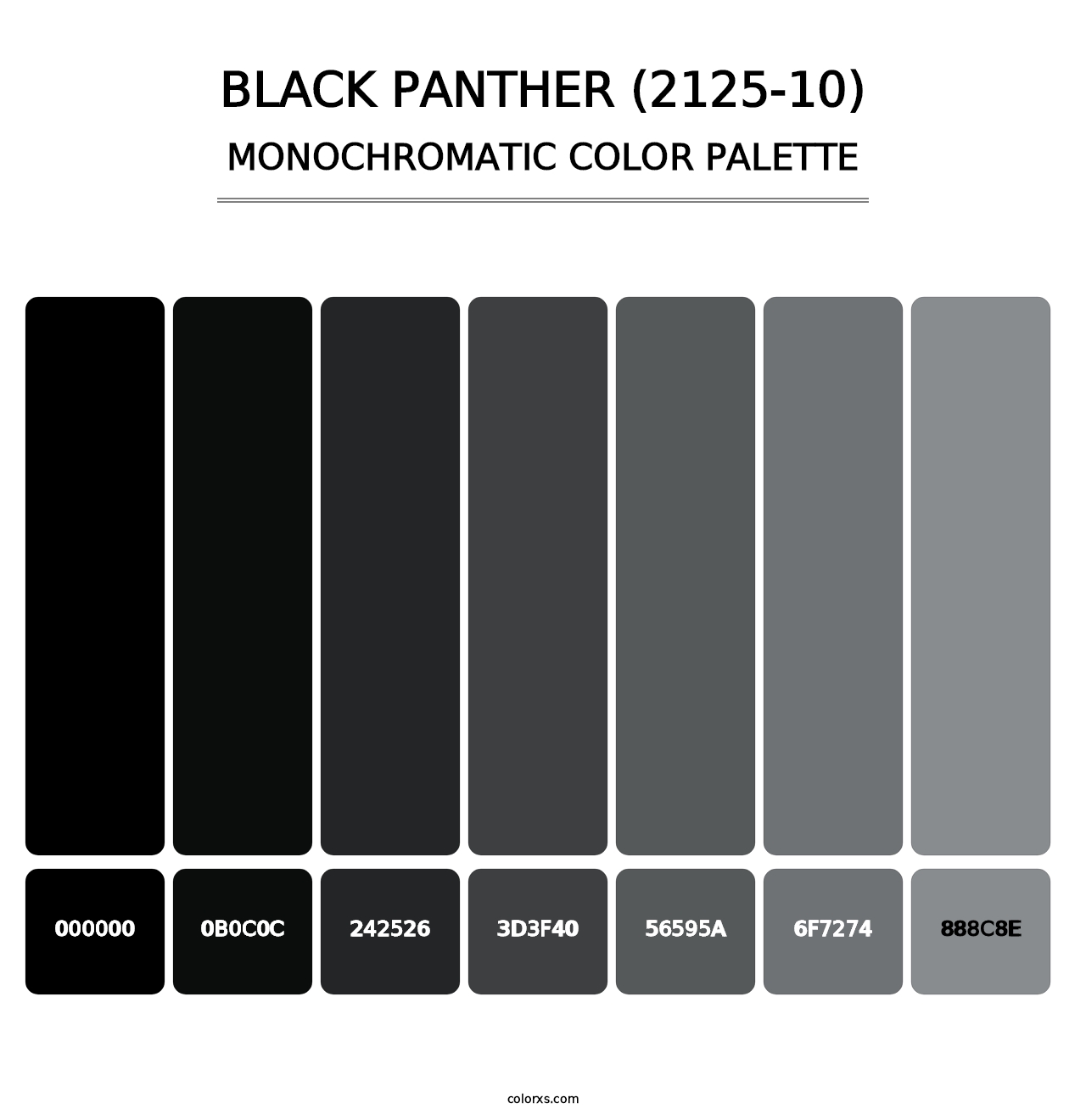 Black Panther (2125-10) - Monochromatic Color Palette