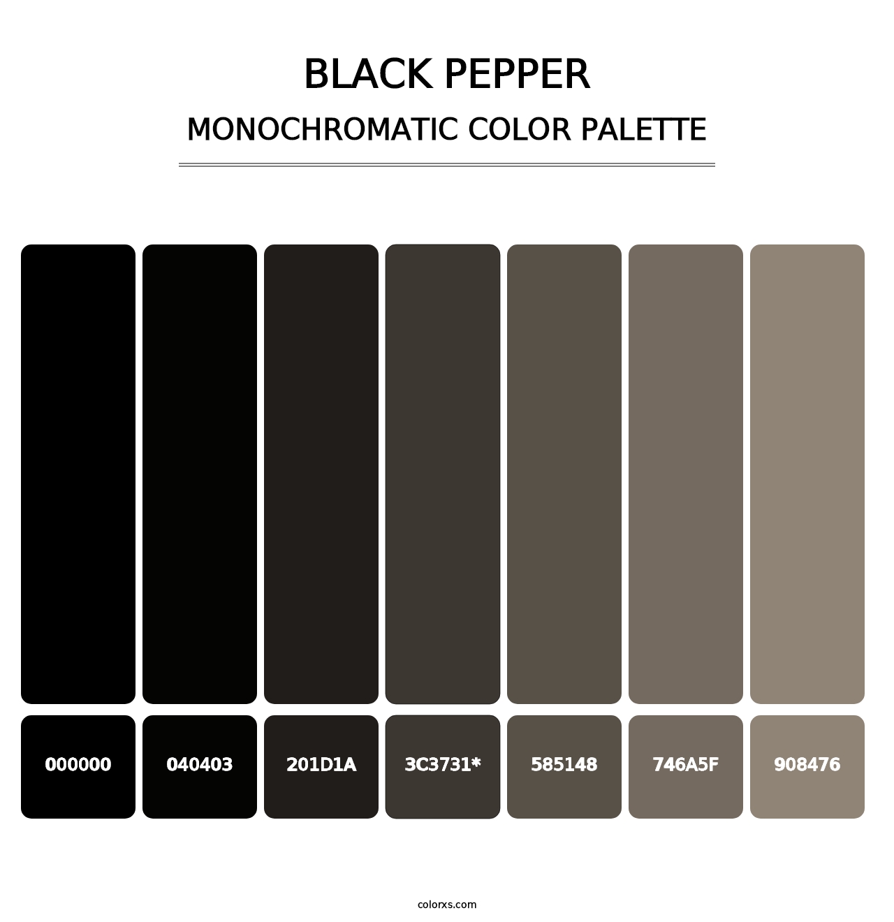 Black Pepper - Monochromatic Color Palette
