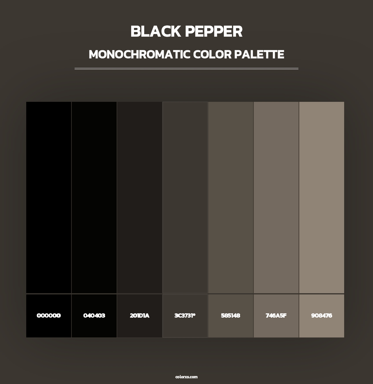 Black Pepper - Monochromatic Color Palette