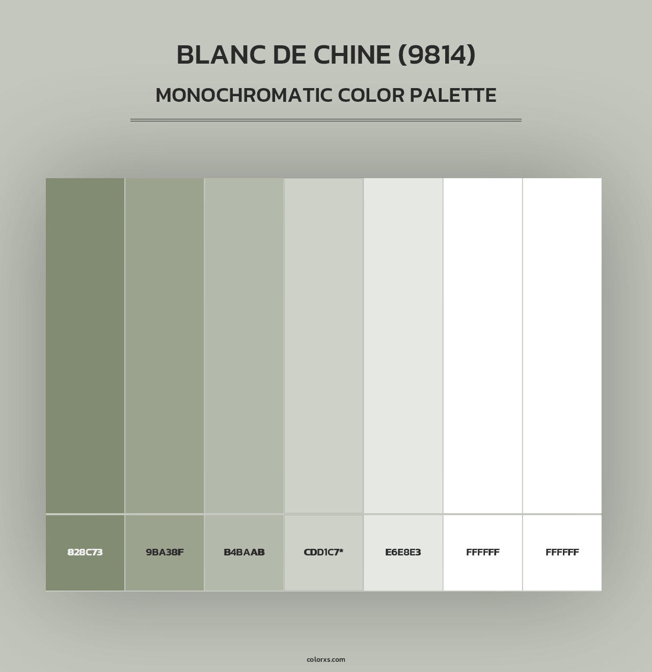 Blanc De Chine (9814) - Monochromatic Color Palette