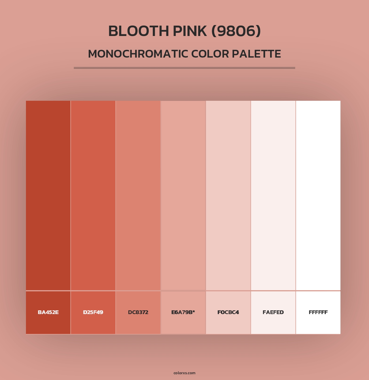 Blooth Pink (9806) - Monochromatic Color Palette