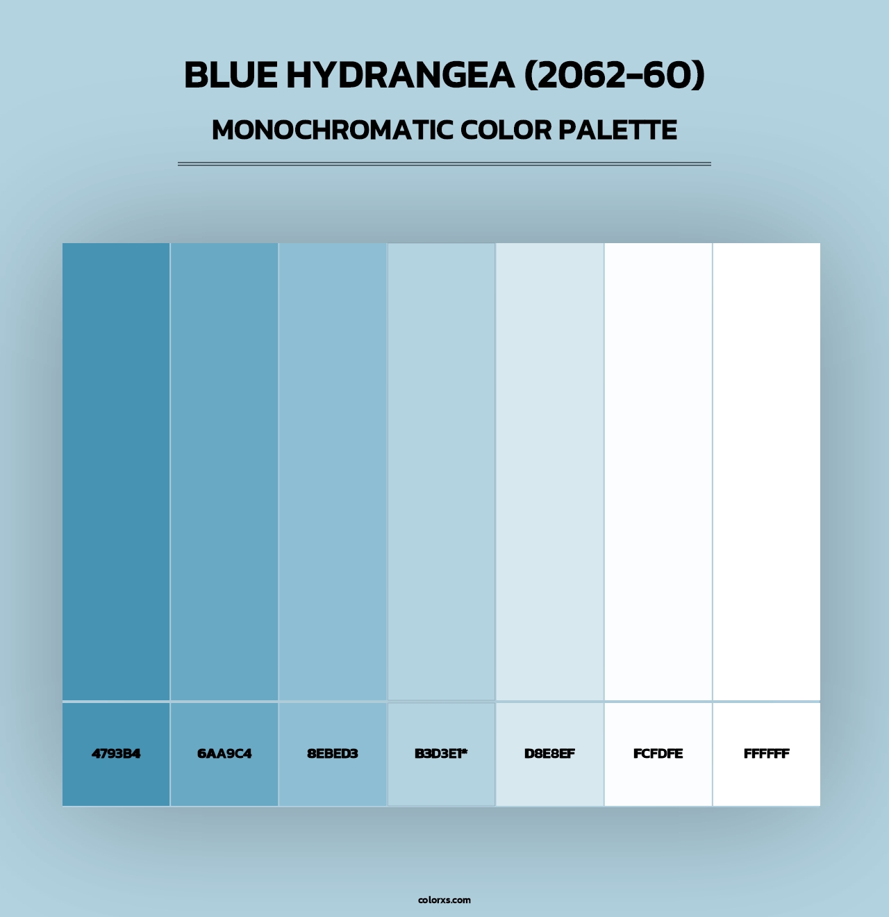 Blue Hydrangea (2062-60) - Monochromatic Color Palette