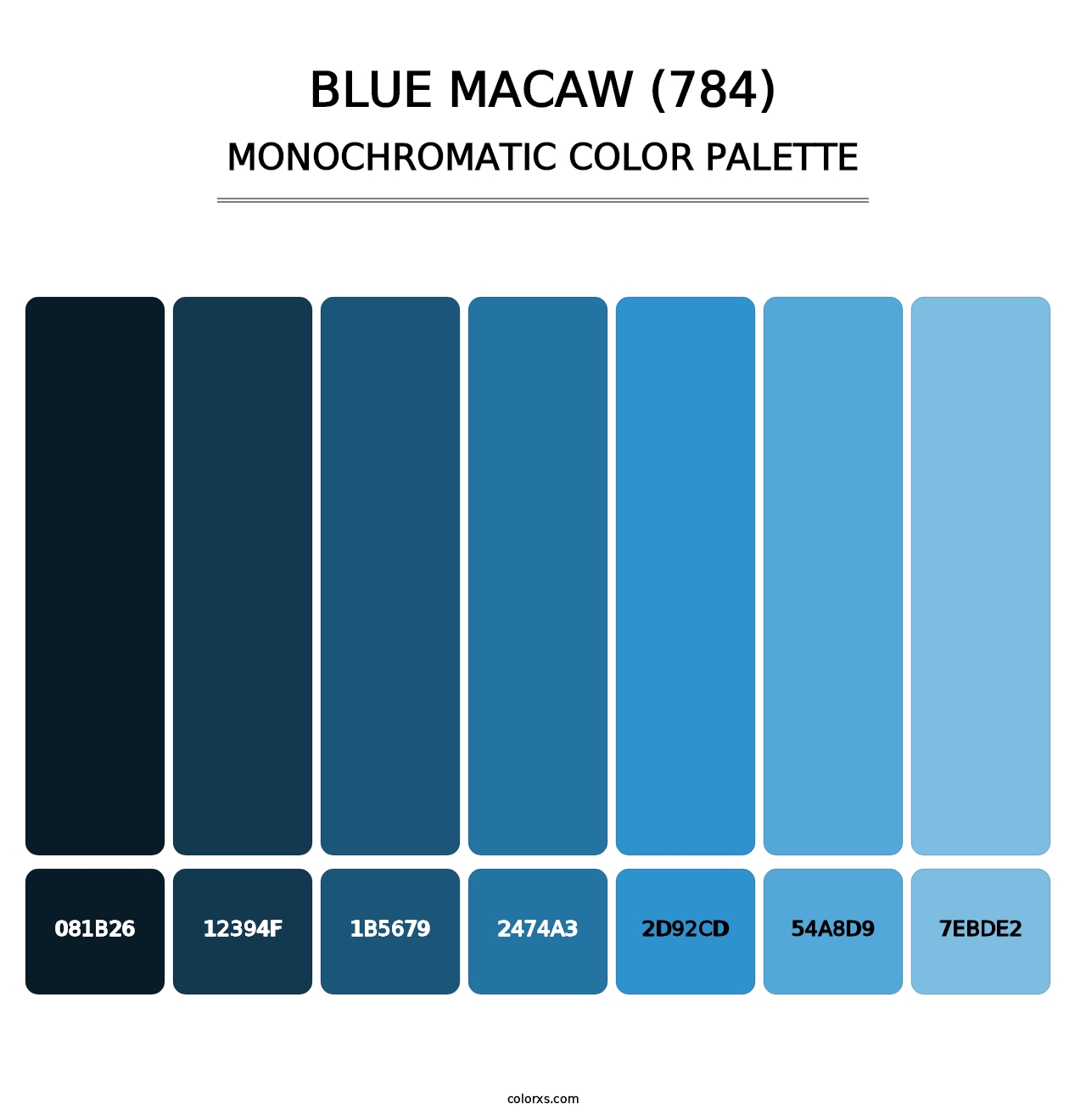 Blue Macaw (784) - Monochromatic Color Palette