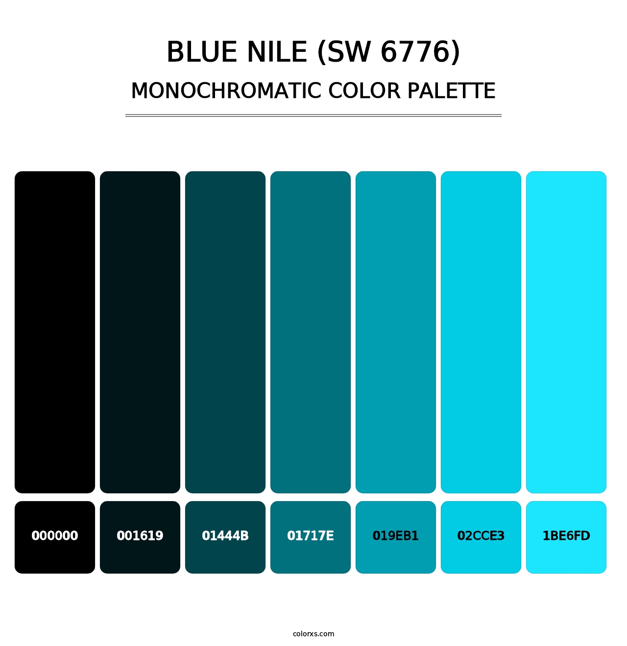 Blue Nile (SW 6776) - Monochromatic Color Palette