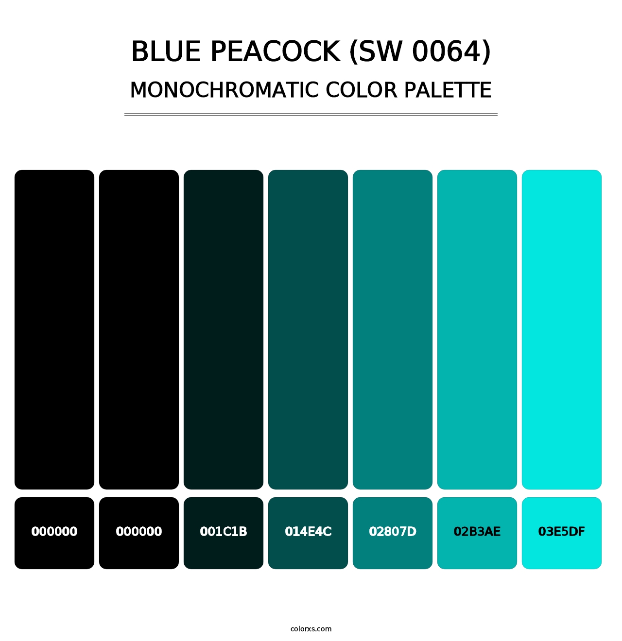 Blue Peacock (SW 0064) - Monochromatic Color Palette