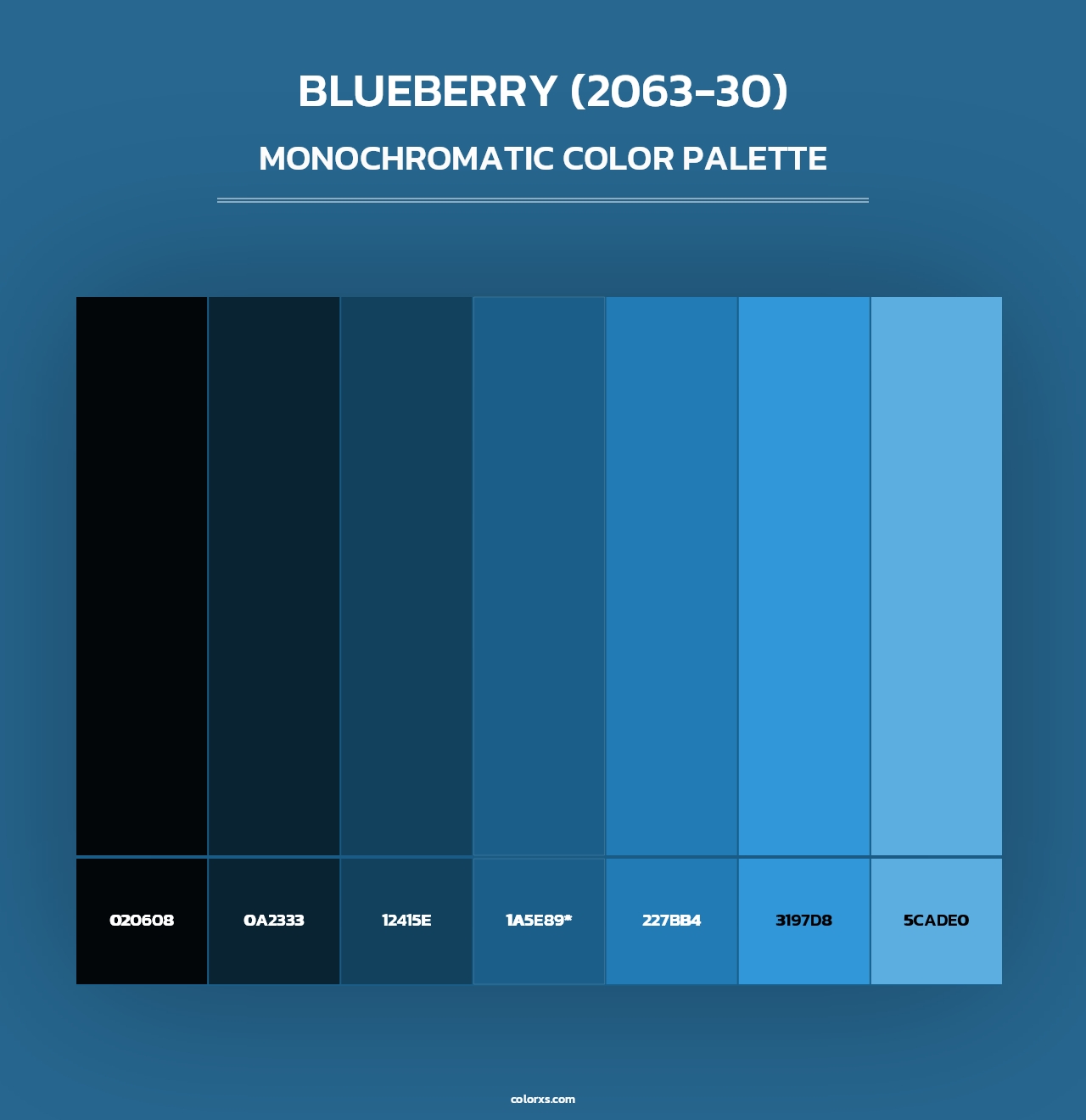 Blueberry (2063-30) - Monochromatic Color Palette