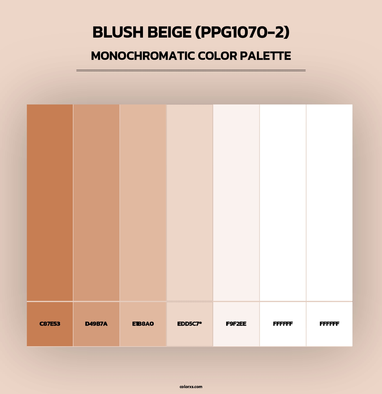 Blush Beige (PPG1070-2) - Monochromatic Color Palette