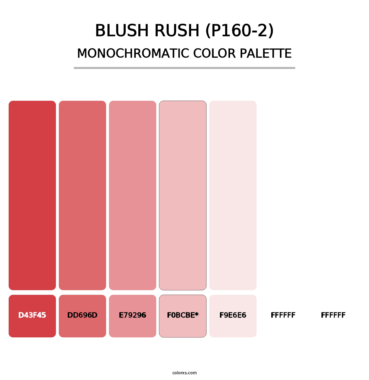 Blush Rush (P160-2) - Monochromatic Color Palette