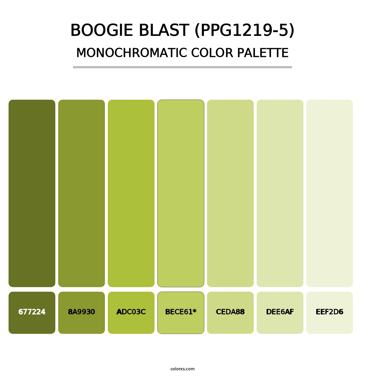 Boogie Blast (PPG1219-5) - Monochromatic Color Palette